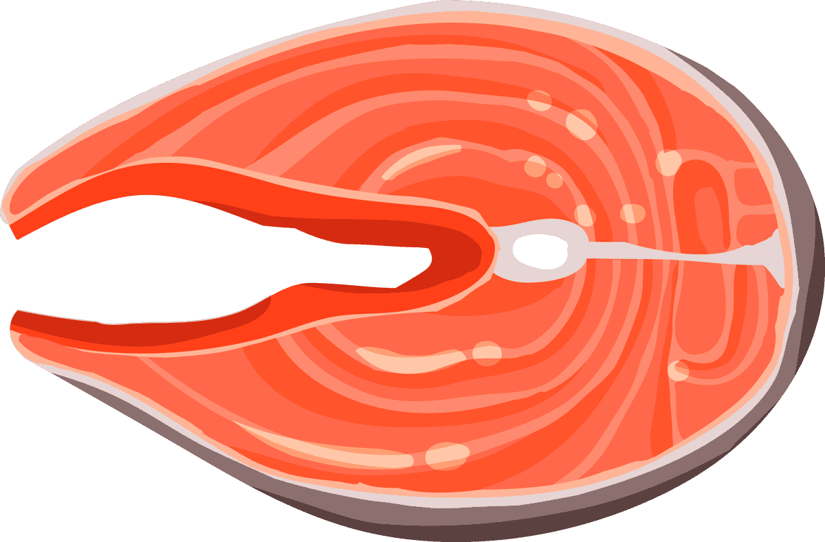 simple seafood illustration design featuring vibrant salmon slice for culinary projects