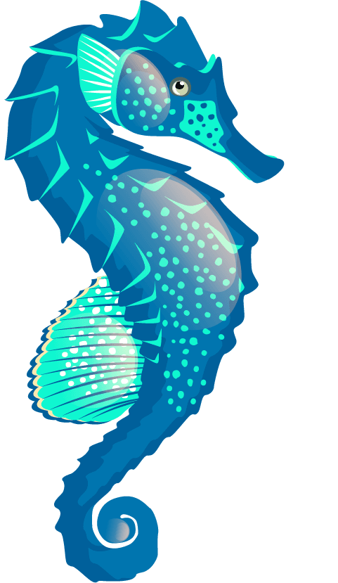 seahorses seahorse icons collection colorful cartoon sketch