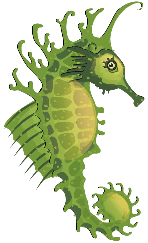 seahorses seahorse species icons collection multicolored cartoon 
