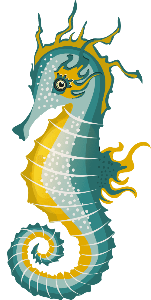 seahorses seahorse species icons collection multicolored cartoon 
