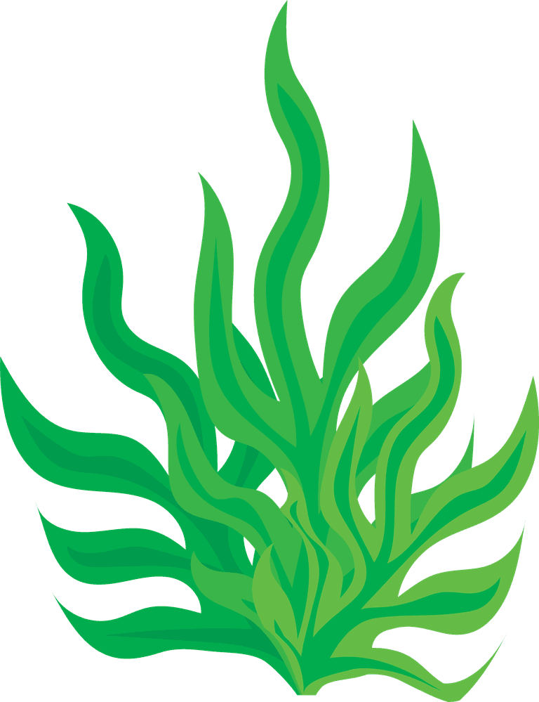 seaweed underwater seaweed icons on white background