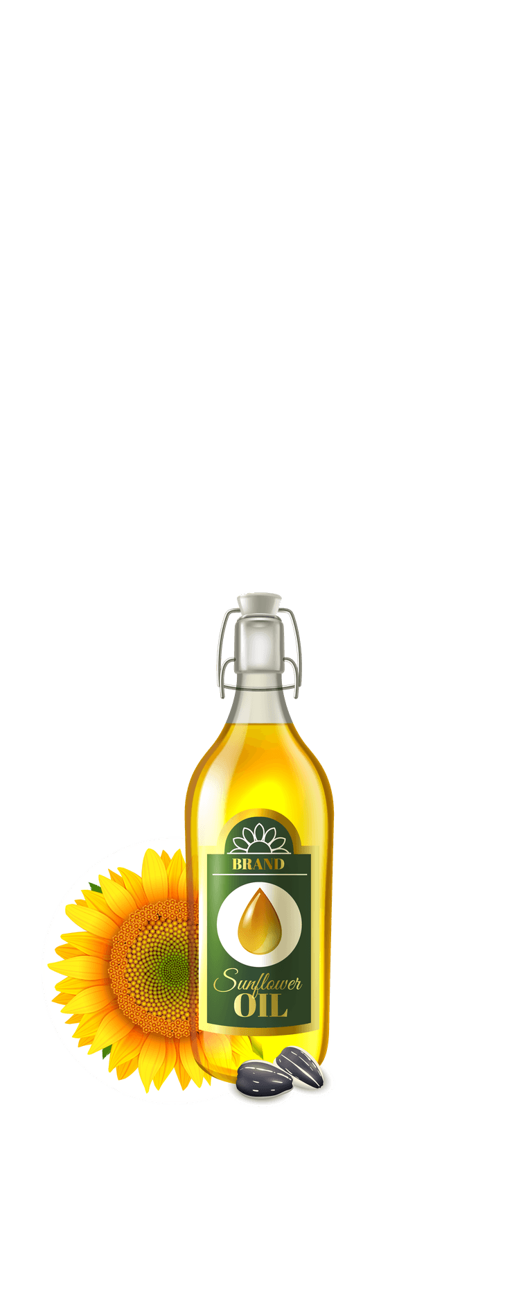 seed oil bottle realistic vegetable oils set