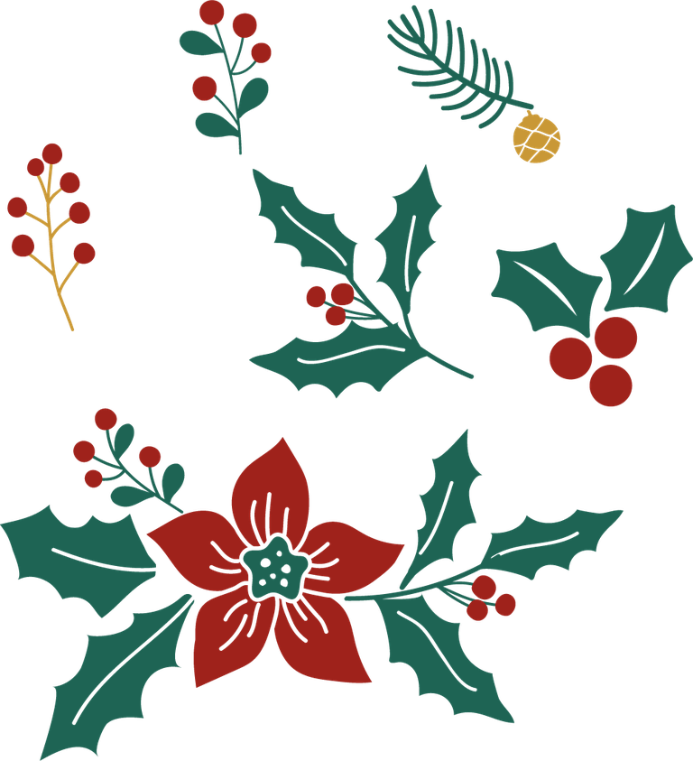 set christmas elements vector with festive flowers and berries for holiday decorations