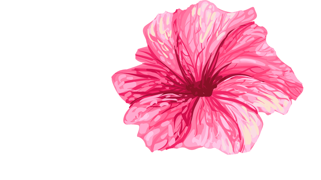 set illustrations tropical hibiscus flowers for tropical themed decorations and designs