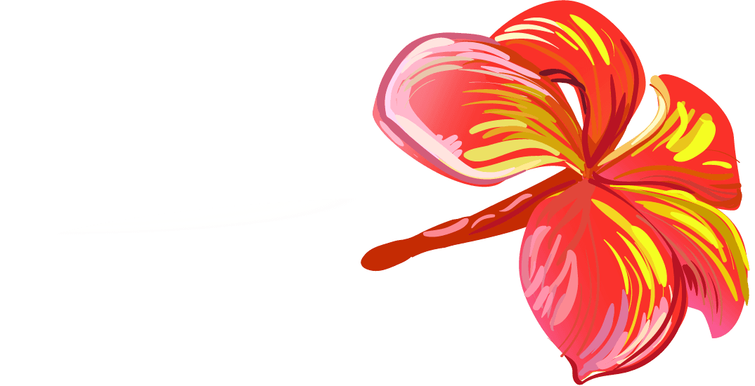 set illustrations tropical hibiscus flowers for vibrant summer themes and tropical decor