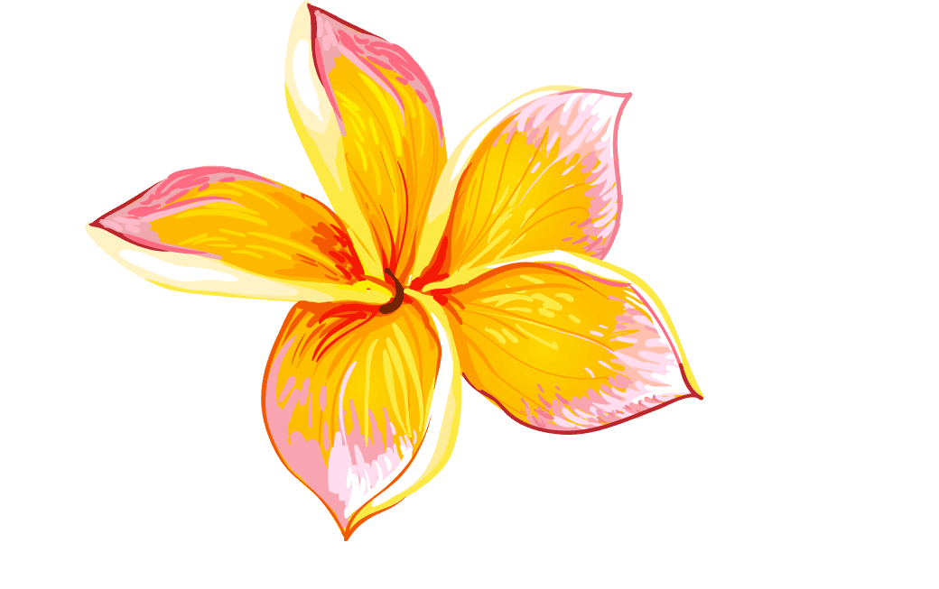 set illustrations tropical hibiscus flowers for vibrant decorations and summer themes