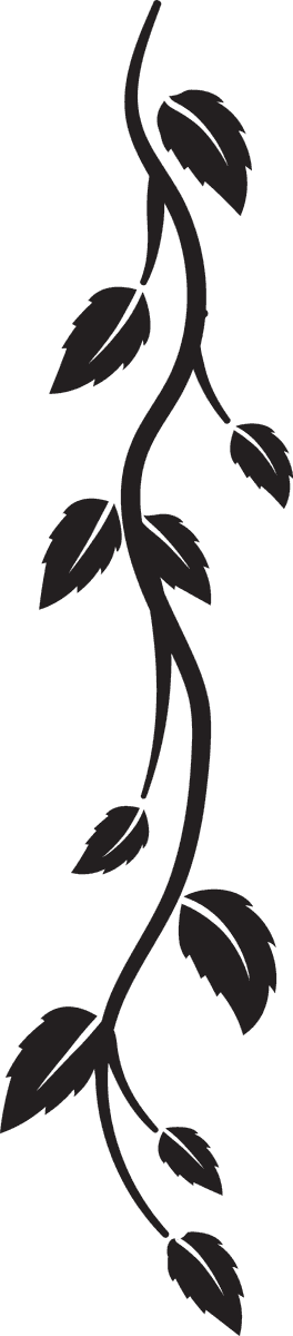 black and white liana vector illustration for decorative accents and nature-inspired themes
