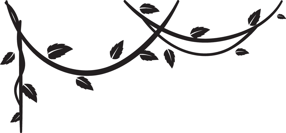 elegant black and white liana vector ideal for minimalist home decor or branding
