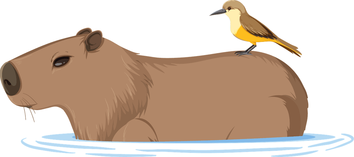 different capybara in cartoon style enjoying a sunny day at the lake with a friendly bird