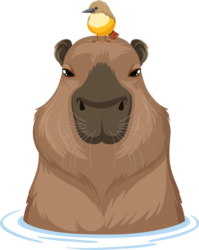 different capybara in cartoon style with a bird friend perched on its head