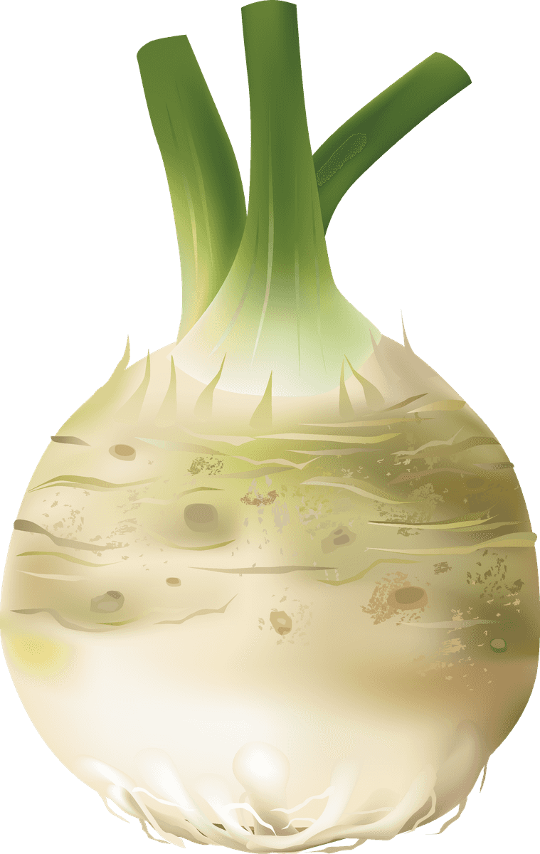 different spice design vector featuring a fresh kohlrabi with vibrant green leaves