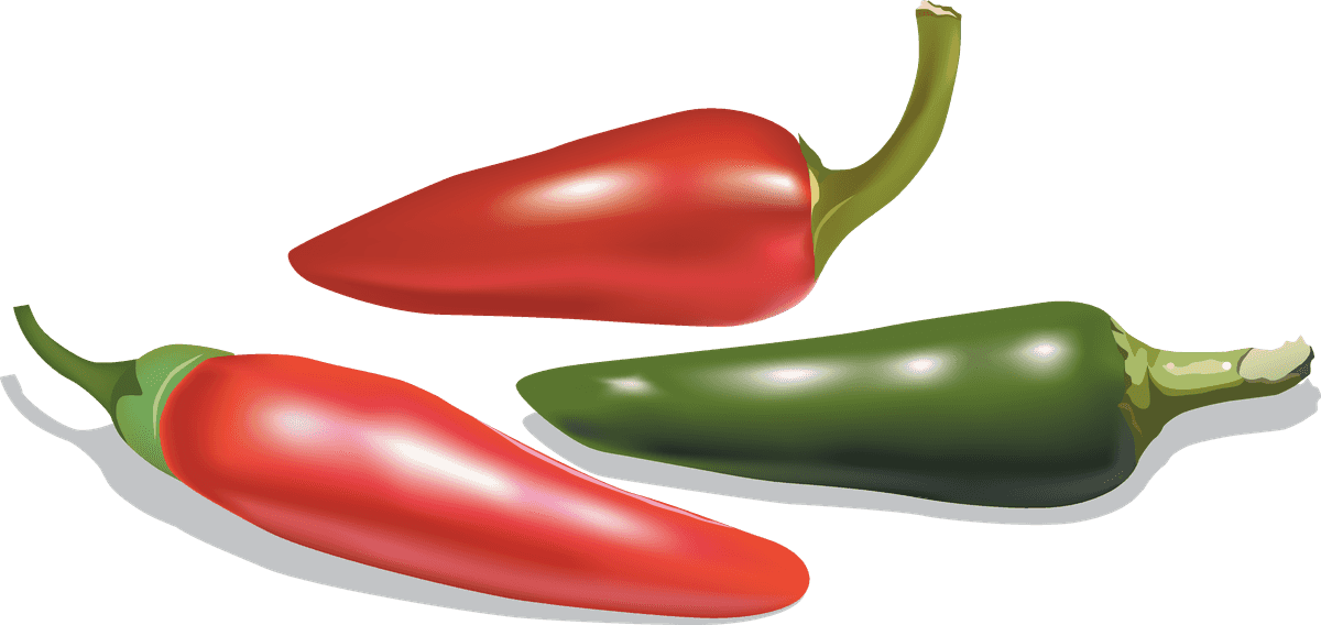 different spice design vector featuring vibrant chili peppers for culinary inspiration and food enthusiasts