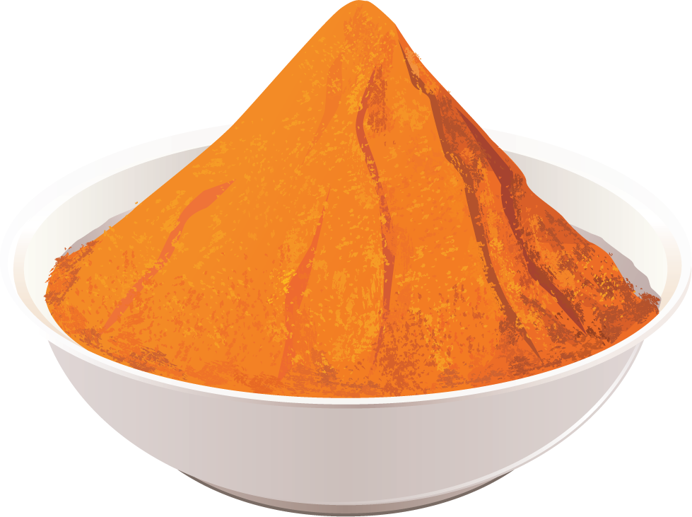 different spice design vector for culinary illustrations and vibrant kitchen decor