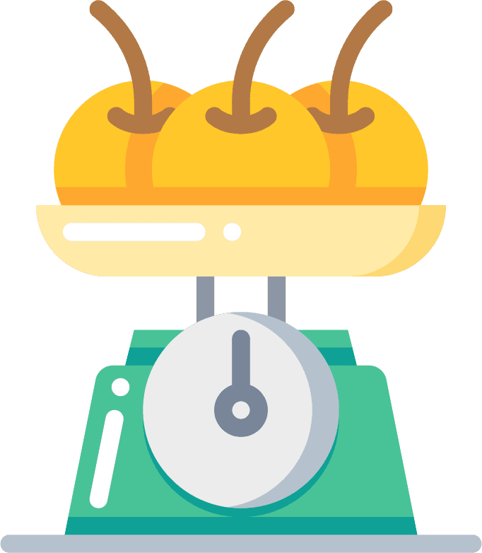 flat color kitchen tool icons featuring a colorful scale for precise cooking and baking