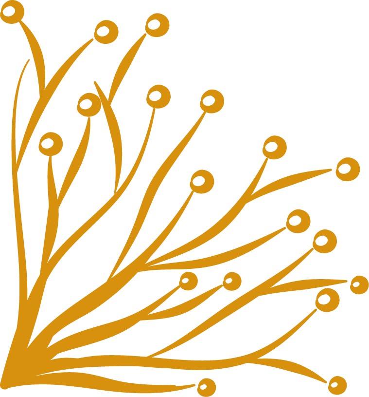 elegant gold corners ornament for luxury invitations and decor accentuating style