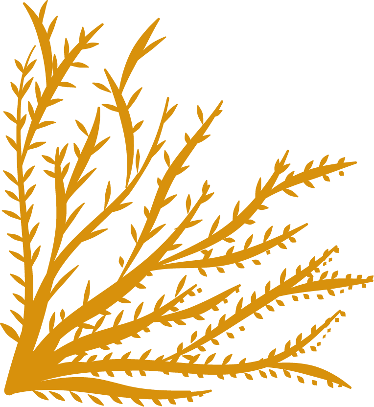 elegant gold corners ornament with intricate leaf patterns for stylish decor
