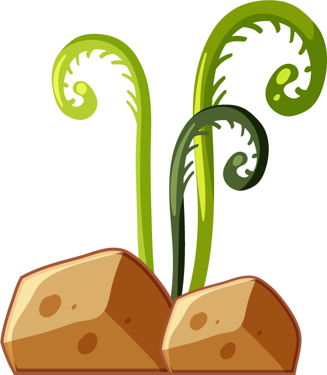 isolated game objects and elements featuring rocky terrain with whimsical ferns for playful environments