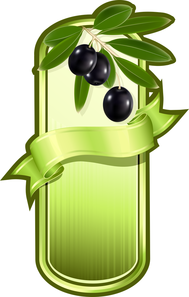 olive oil label stickers vector with olive branch for organic branding and packaging