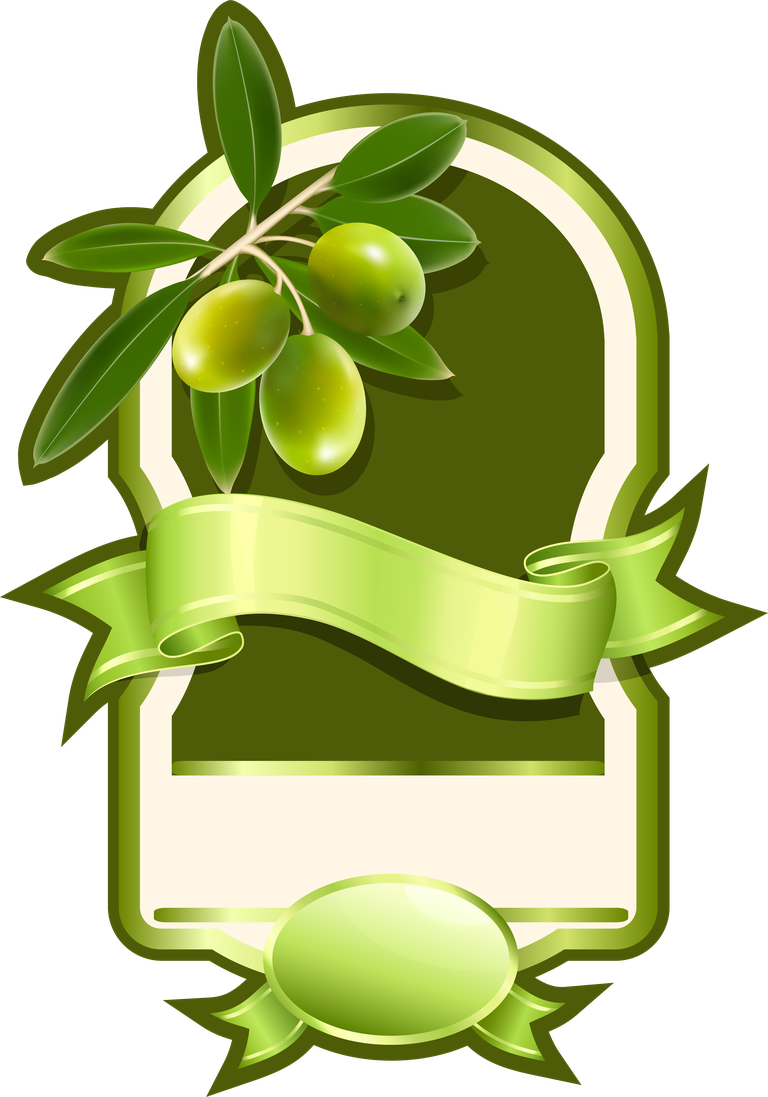 elegantly crafted olive oil label stickers vector with olive branch accents for packaging