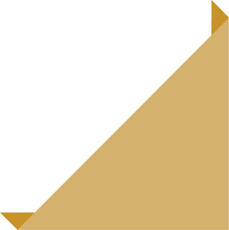ribbon in various styles in golden
