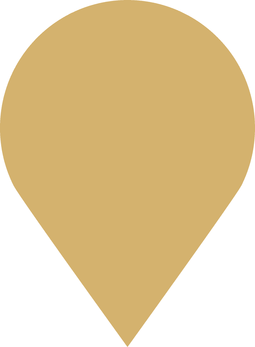ribbon in various styles in golden