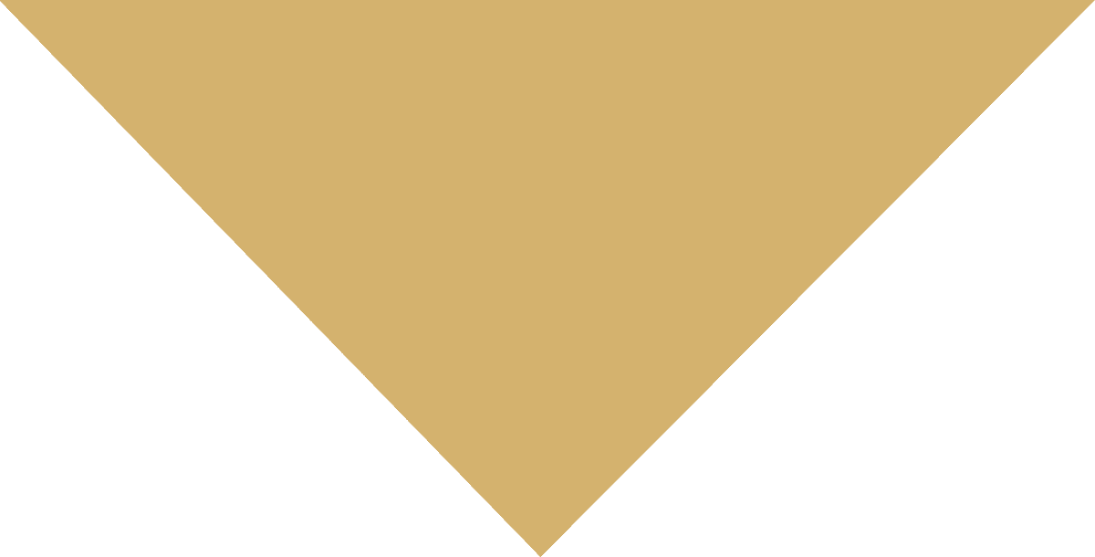 ribbon in various styles in golden