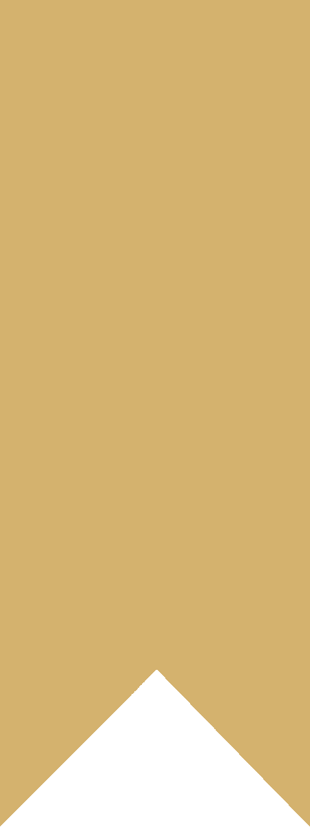 ribbon in various styles in golden