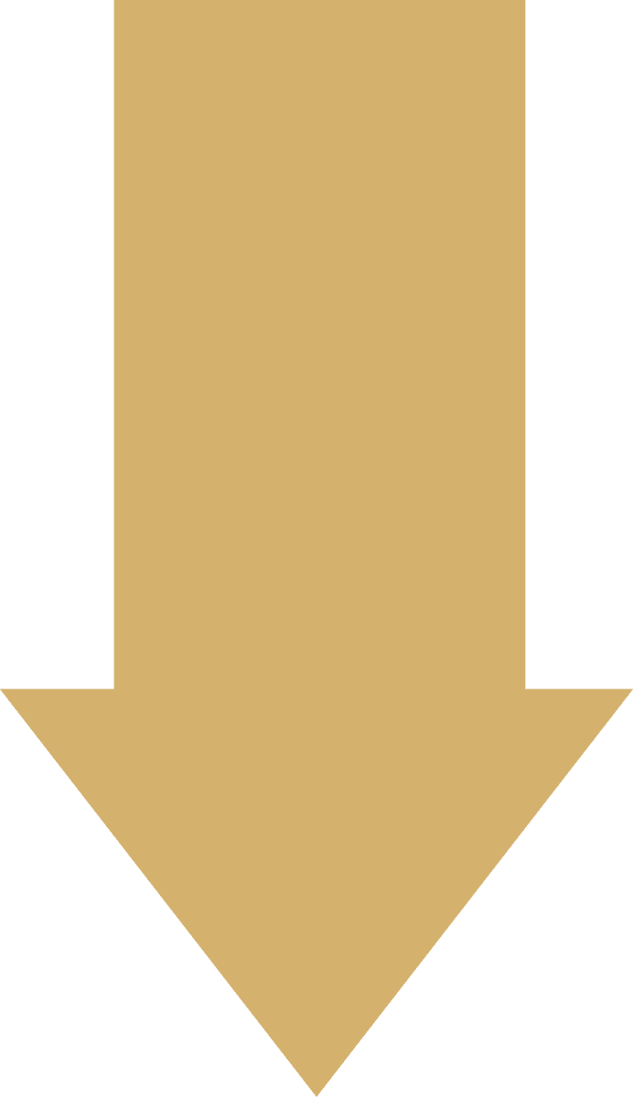 ribbon in various styles in golden