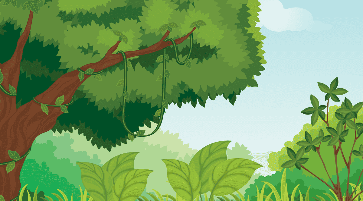 serene landscape scenes with lush greenery and vibrant trees for calming environments