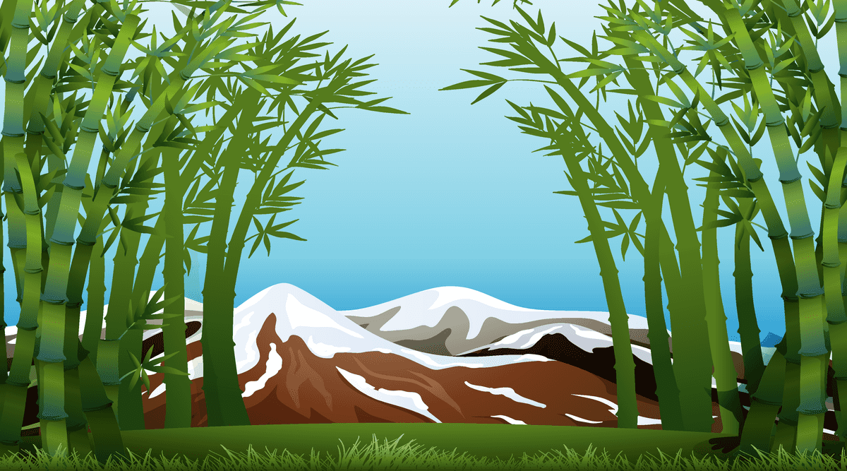 serene landscape scenes featuring tranquil bamboo forest and majestic mountain backdrop