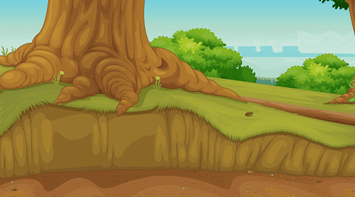 serene landscape scenes showcasing vibrant trees and lush greenery for peaceful outdoor settings
