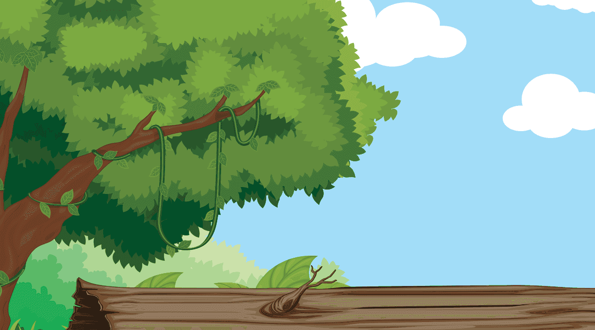 serene landscape scenes featuring lush trees and a bright blue sky for relaxation or inspiration