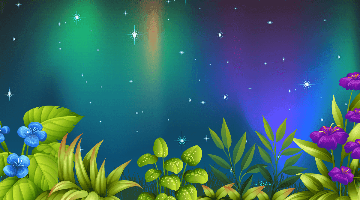 serene landscape scenes featuring vibrant flora and captivating auroras for enchanting outdoor visuals
