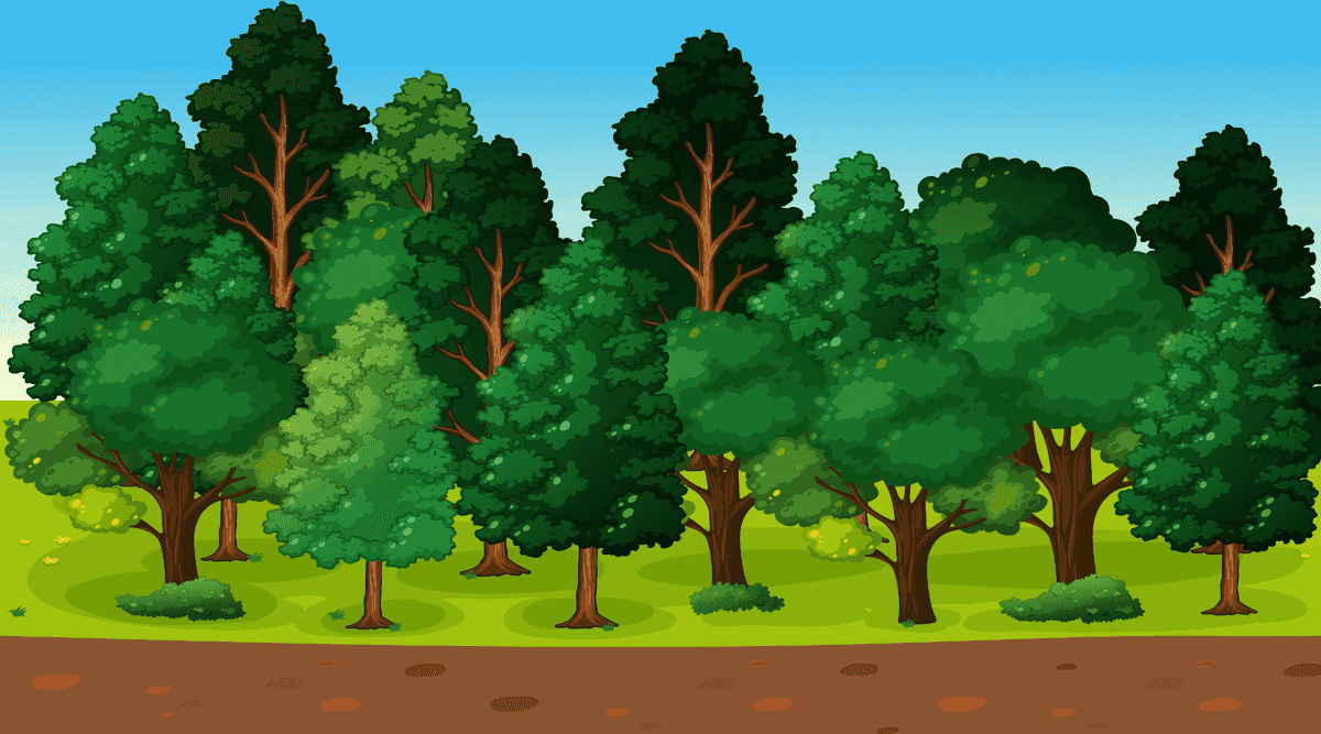 serene landscape scenes featuring lush trees and vibrant greenery for peaceful outdoor settings