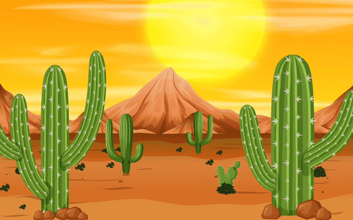 sunset scene illustration with cacti under a vibrant orange sky and mountains