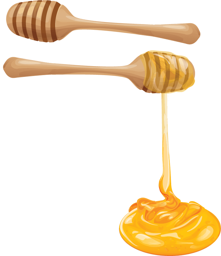 set illustrations honey honeycombs jar dripping from honey dipper icons
