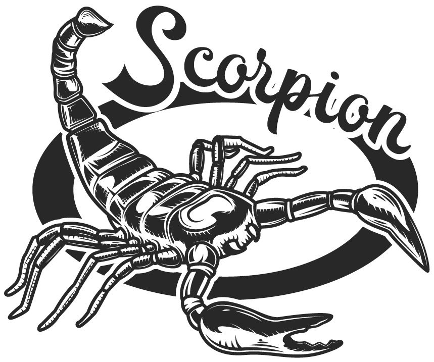 set vintage egyptian emblems featuring an intricately detailed scorpion motif