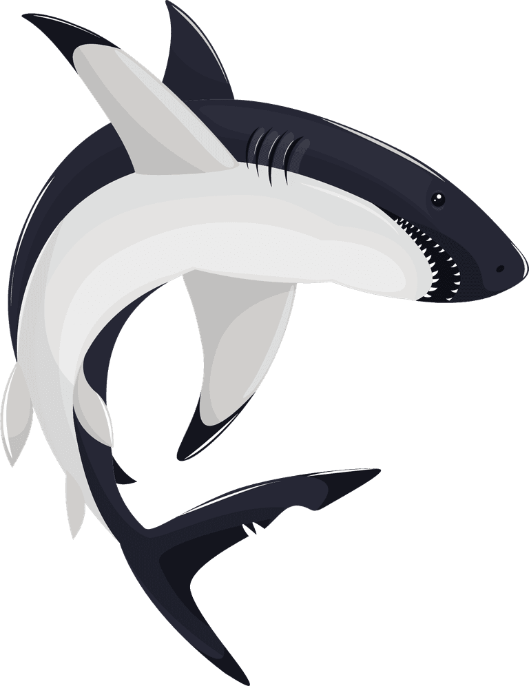 shark sharks icons motion sketch cartoon 