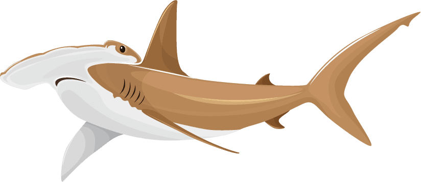 shark sharks icons motion sketch cartoon 