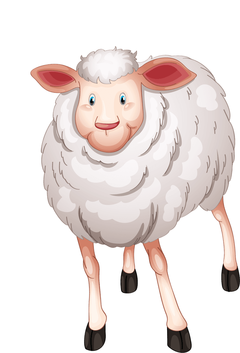 charming sheep animal collection cartoon vector suitable for children's books and educational materials