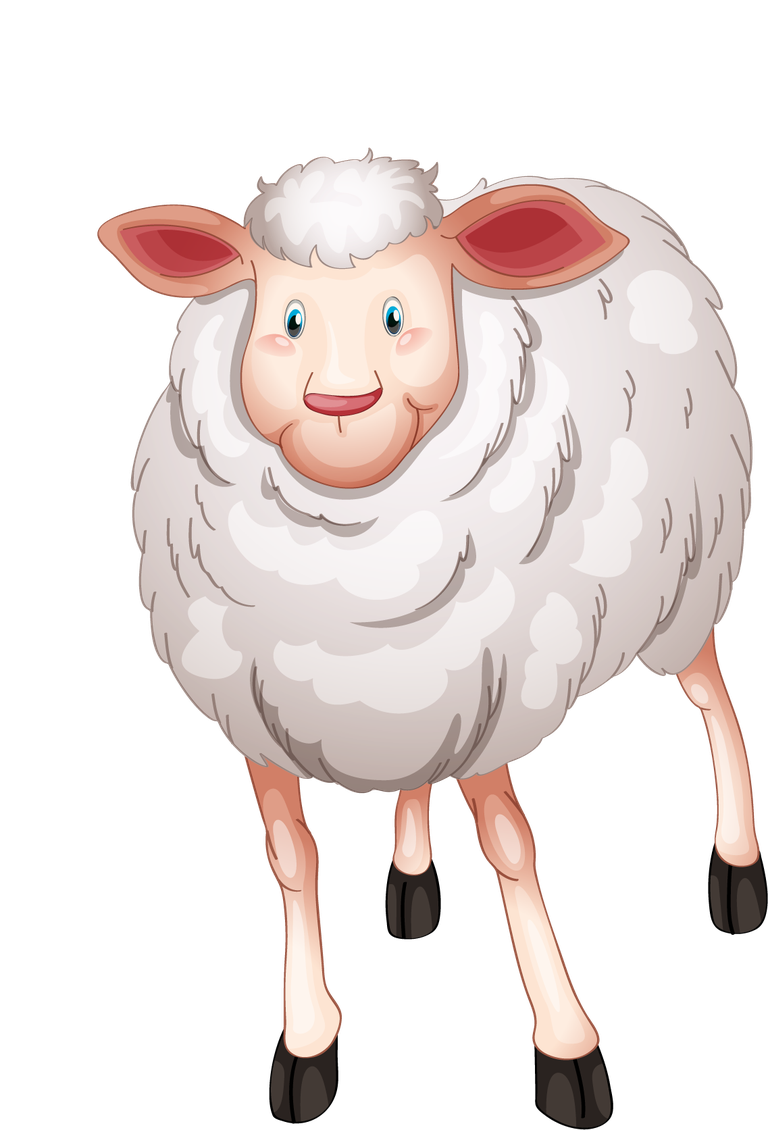 charming sheep animal collection cartoon vector suitable for children's books and educational materials