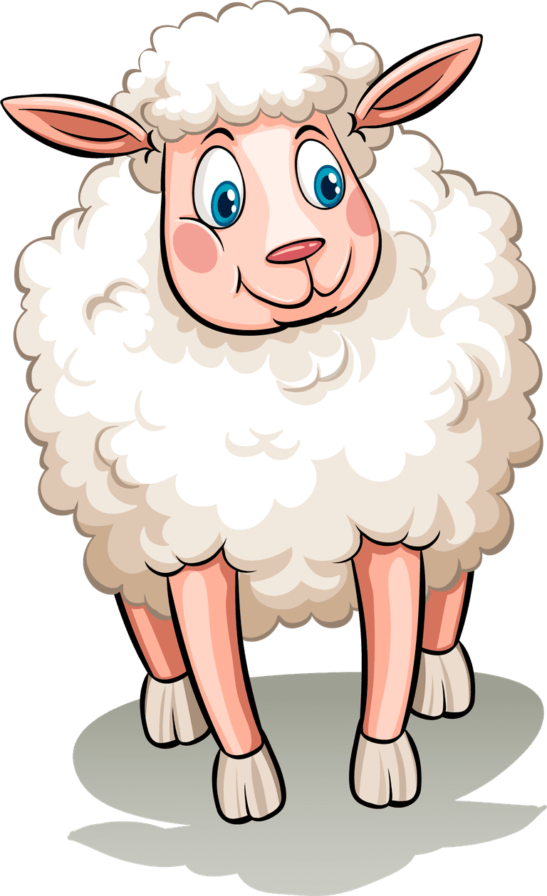 sheep five white sheeps in a playful cartoon style for children’s illustrations