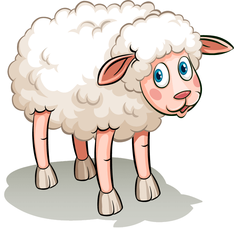 playful sheep five white sheeps for children's illustrations and educational materials