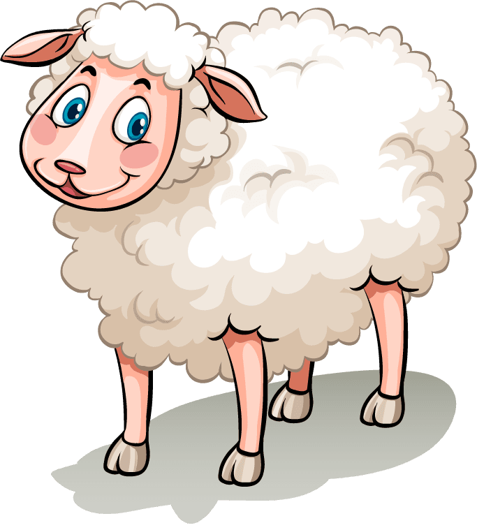 sheep five white sheep in a cartoon style perfect for children's illustrations