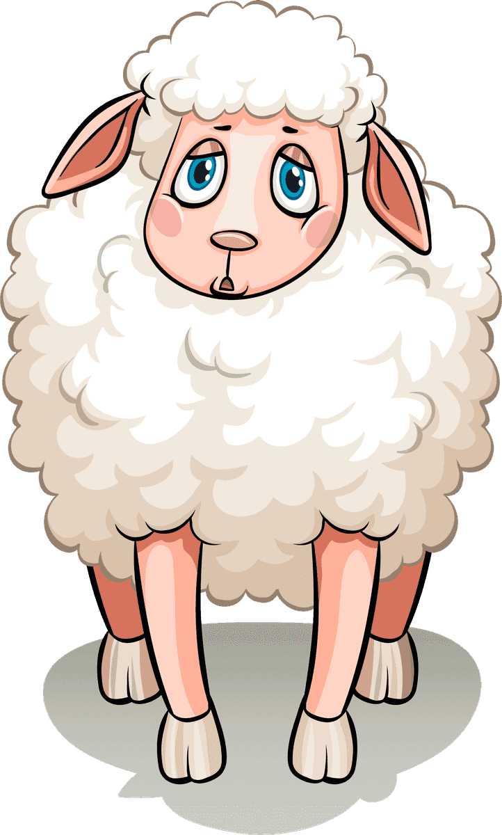 sheep five white sheeps in cute cartoon style for children's storybooks or educational materials