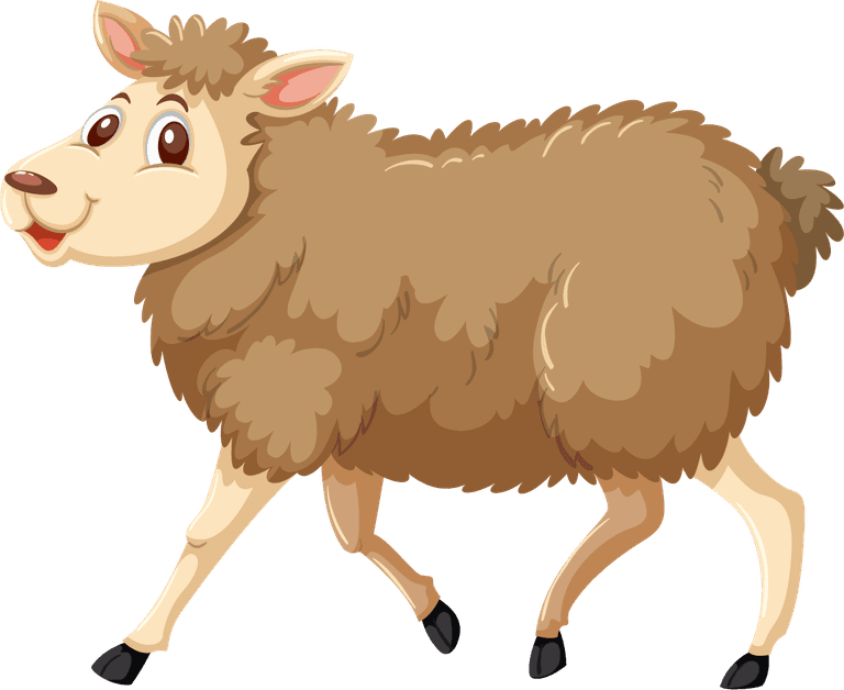 sheep isolated different animals