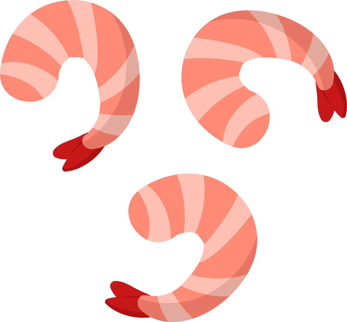 shrimp cooking ingredients tools vector for delicious dishes and seafood recipes
