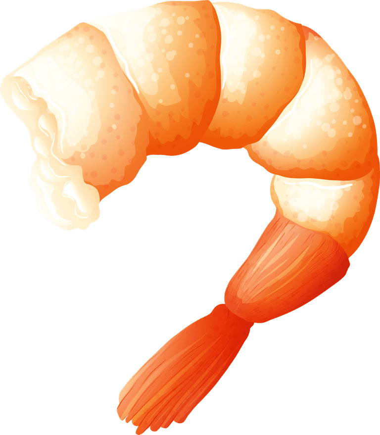 shrimp different kinds of seafood illustration