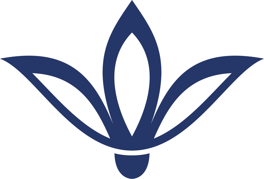 simple decorative floral flower elements for elegant branding and personal projects