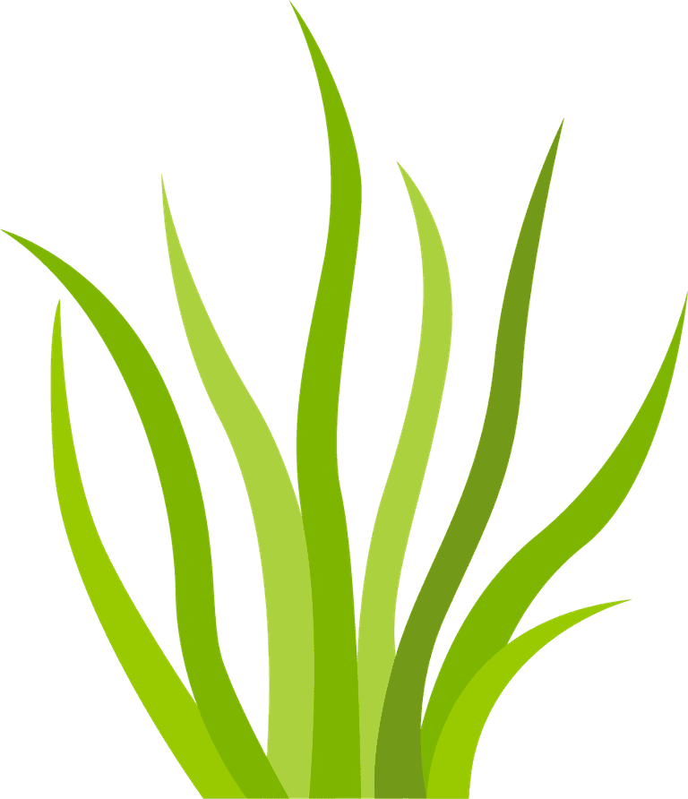 simple decorative green grass elements
